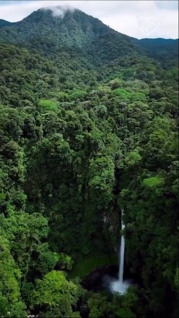 Живая природа