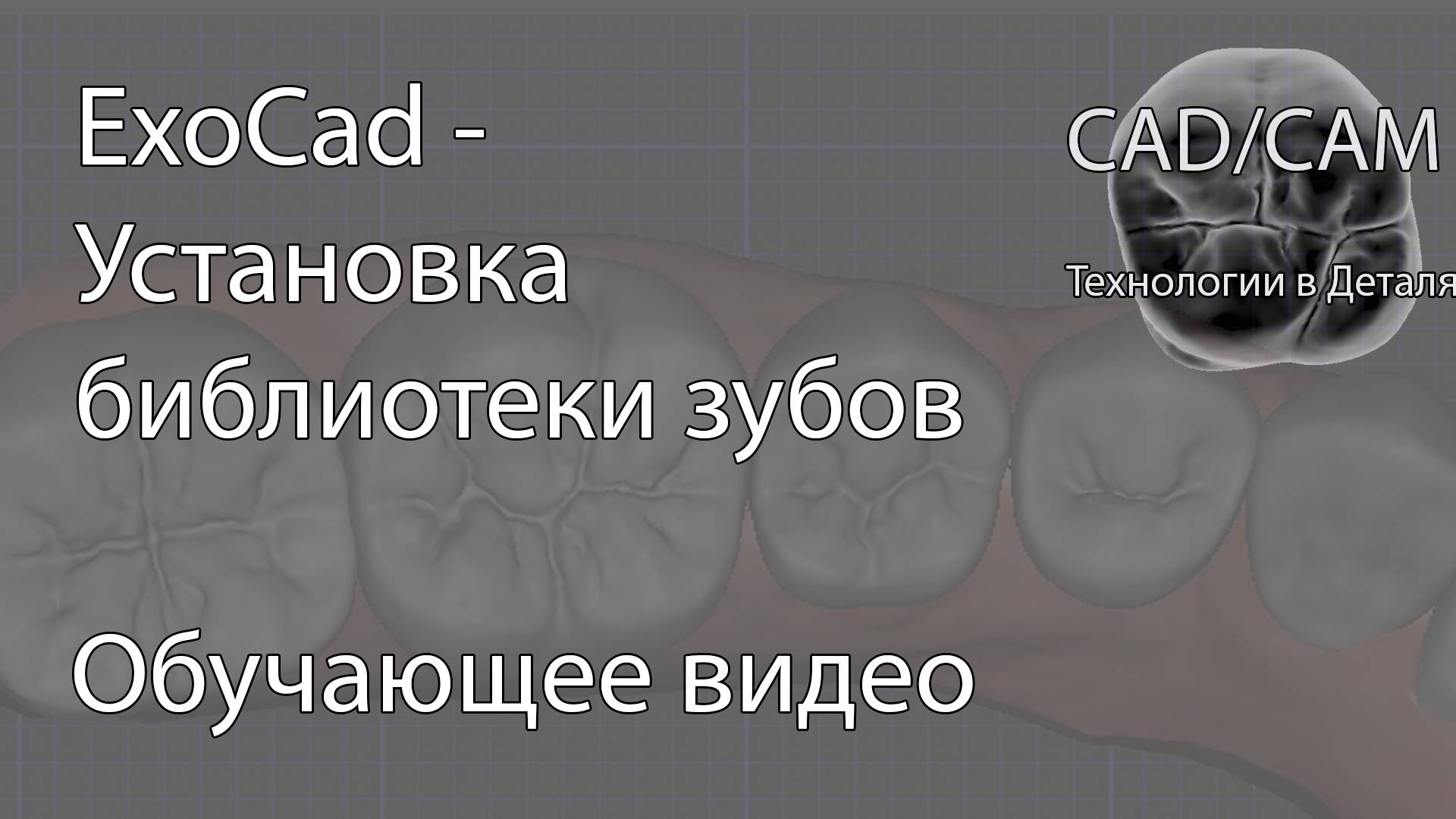 Установка библиотеки зубов
