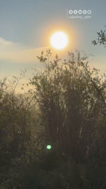 🤍 Выход из тумана 🌞#Подольская #летопрощай #крякаемоприроде