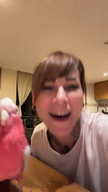 Музыка из дискотеки 90х