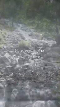 10 августа 2025 г.