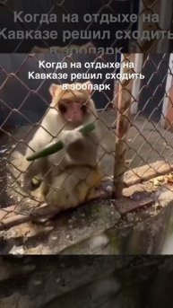 Кавказский зоопарк