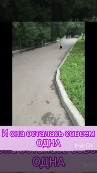 1000144826.mp4