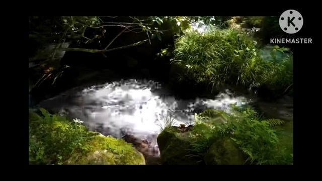 минутка природного релакса