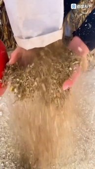 Измельчитель 2 в 1