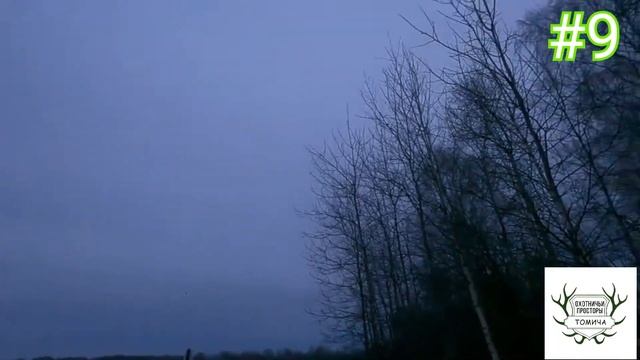 ТОП Нарезка лучших выстрелов весеннего сезона 2025 Которые мне больше всего зашли