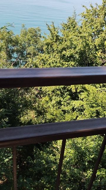 Басик на море.