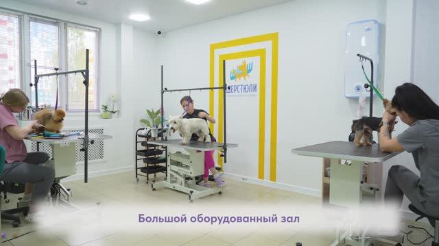 Шерстюли, груминг в Спутнике
