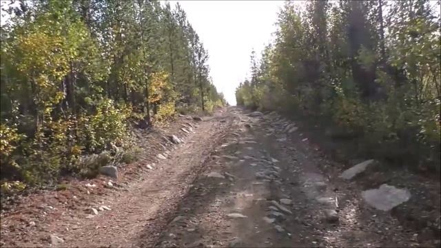 О моих медведях. Сентябрь. Несу короб с ягодами. 6 км.