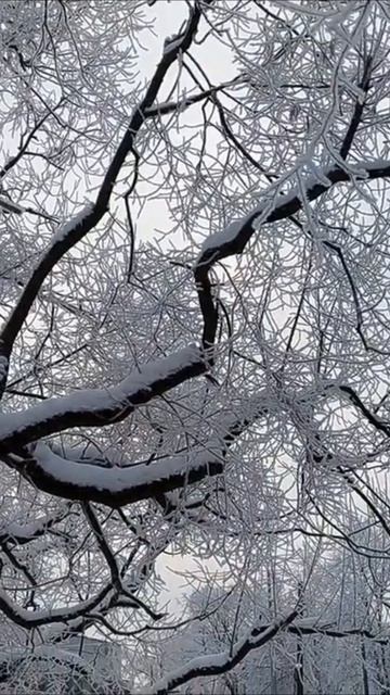 Кто-то кому-то сегодня нужен...