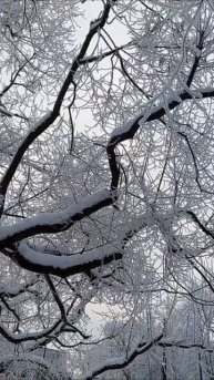 Кто-то кому-то сегодня нужен...