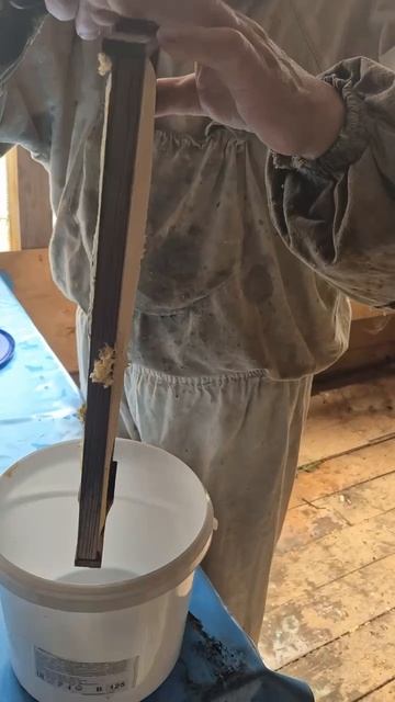 Приезжайте пробовать мёд