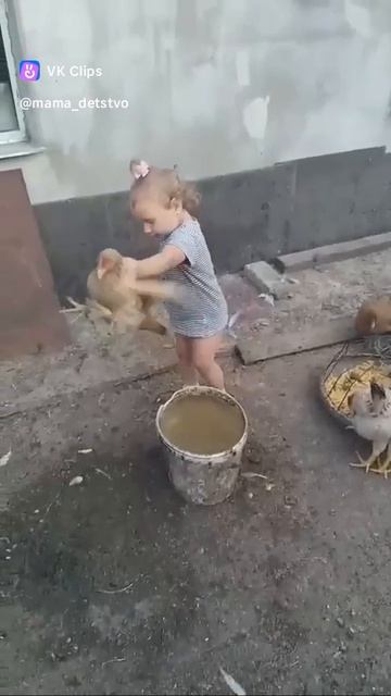 VID_20250813_055654_383.mp4