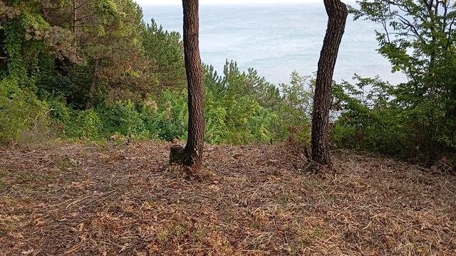 Вид на Чёрное море