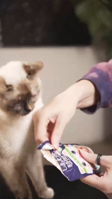 Японский ВЛАЖНЫЙ КОРМ – Секрет ДОЛГОЛЕТИЯ кошек? Влажный корм для кошек