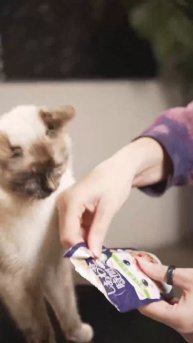 Японский ВЛАЖНЫЙ КОРМ – Секрет ДОЛГОЛЕТИЯ кошек? Влажный корм для кошек