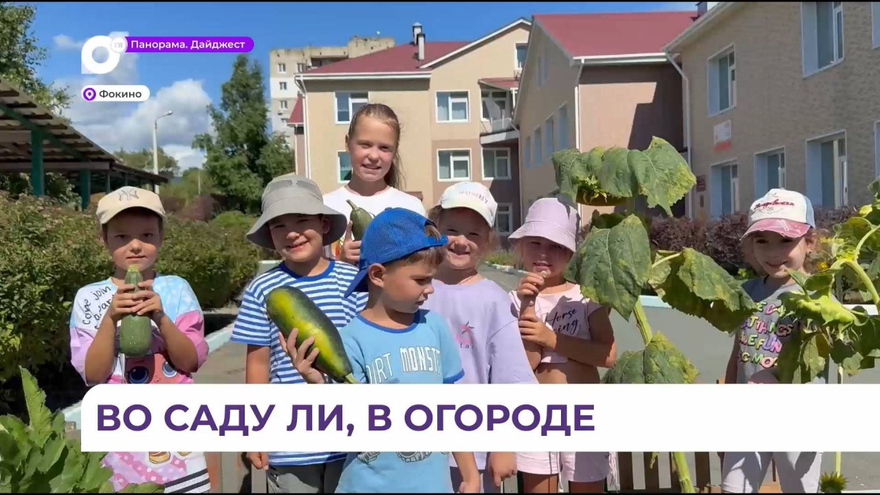 Собственный огород высадили воспитанники детского сада «Светлячок» в Фокино