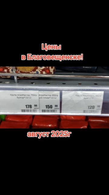 Обзор цен. Август - 2025 год