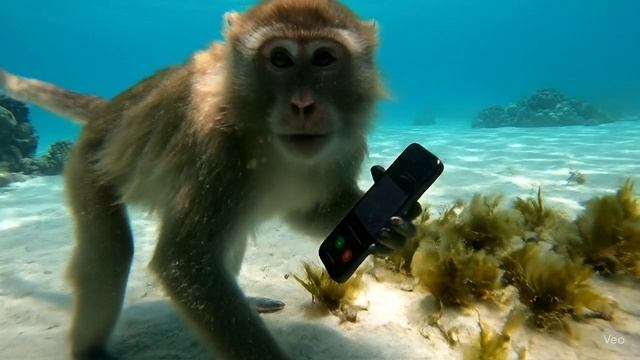 не мог говорить