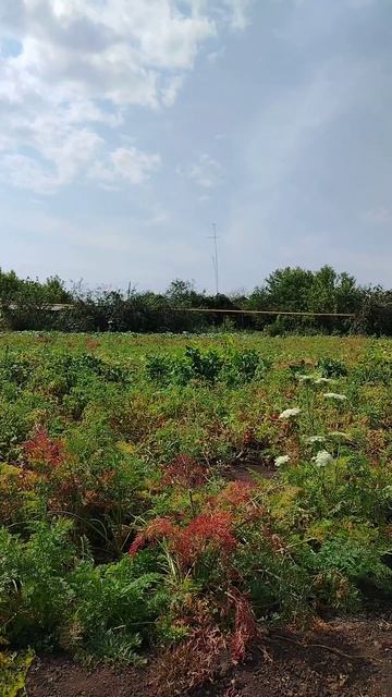 Разговор по душам ☀️