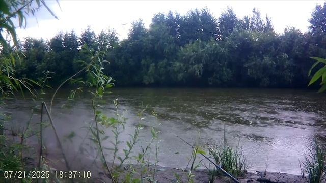 КТО КУДА Я НА РЫБАЛКУ Ч.3 ЩУКА И КАРАСЬ. Р. ПЫШМА.