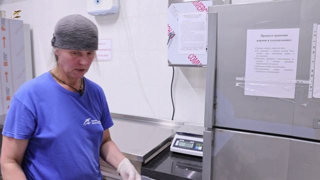 Рабочие будни биологов Приморского океанариума