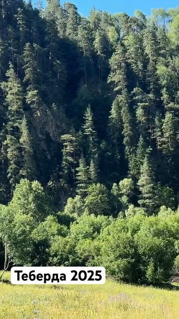 #теберда  #youtubeshorts #reels #youtube #nature #vlog #travel #instagram #subscribe #video #music