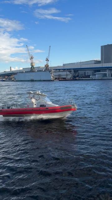 Риб Кальмар 720 Suzuki DF140