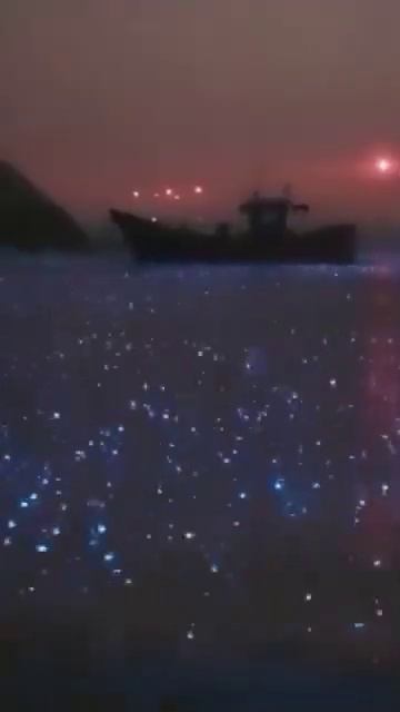 #ночь #дождь #планктон