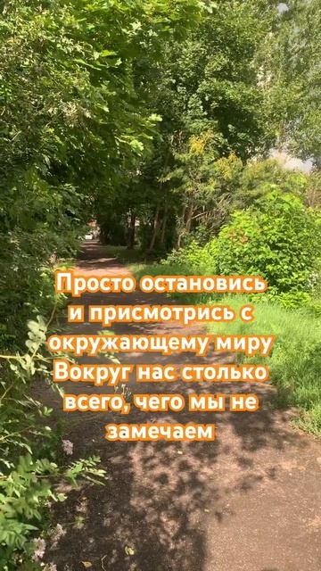 Остановись