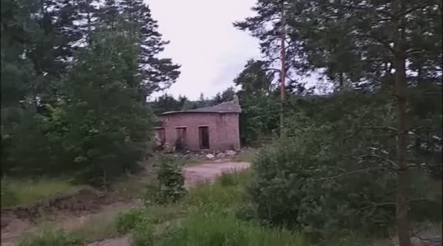 Россия Санкт-Петербург Бобочино Поляны Северное Побережье Финского Залива 04 июля лета 2024/7533