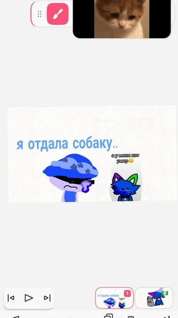 жалко тебя :(
