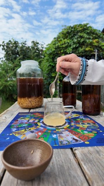 🌲 "КВАС, КОТОРЫЙ ПЕРЕЗАГРУЖАЕТ ОРГАНИЗМ: секреты ферментации от Таёжных Знахарей"