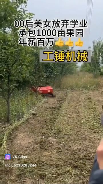 VID_20250813_054106_796.mp4