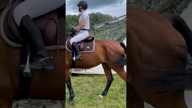 Конно-спортивный праздник🐎🐎🐎 Выставка  лошадей,,соревнования, музыкальные номера🎼 ‘лето ‘24
