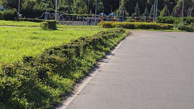 Муринский парк 08.25