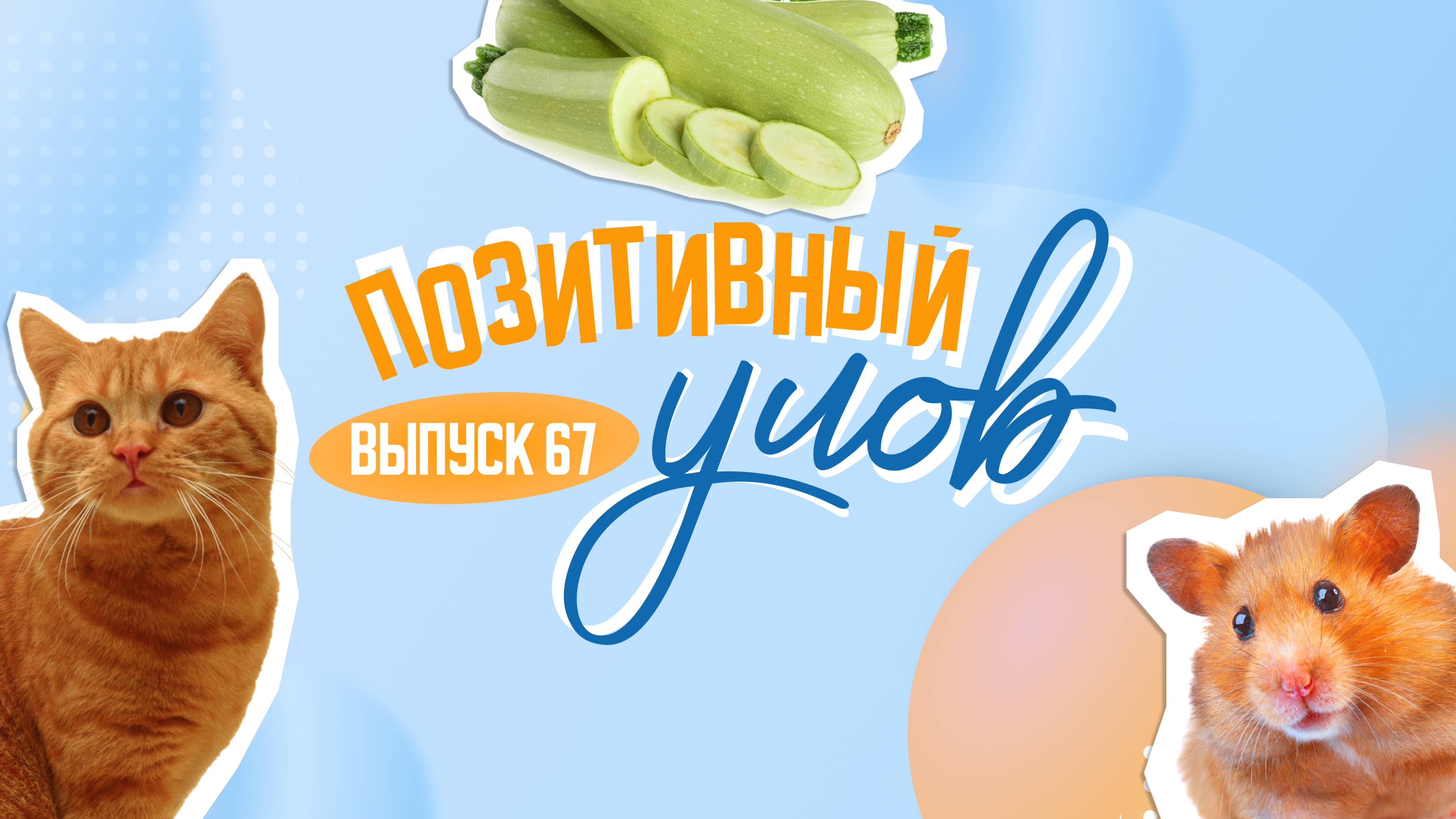 Бой звезд на Крымском мосту и мороженое из кваса. "Позитивный улов"