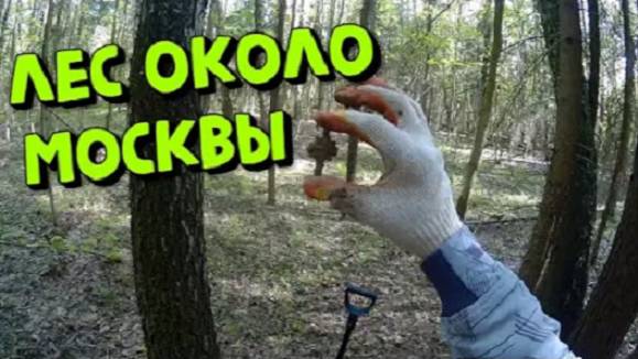 Находки в Лесу около Москвы. КОП