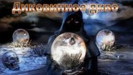 Мистические истории на ночь....Диковинное диво