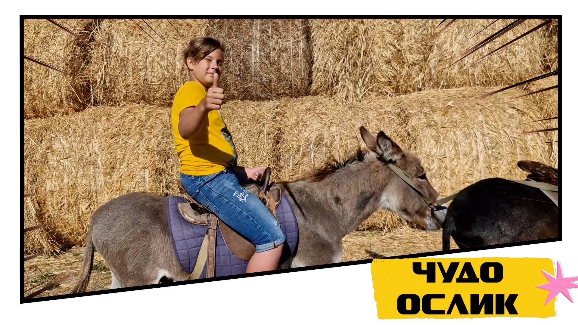 Ослиная ферма Чудо-ослик, Бахчисарайский район, Крым. Поездка на осликах к Каменным Сфинксам!