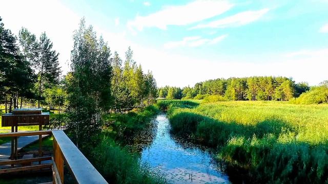 И снова парк в парке. ( обзорная башня и вид с нее)