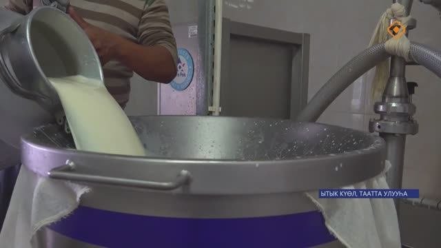 Таатта СПК сайыҥҥы түбүгэ