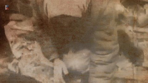 Моушен-видео - Живая память. Письмо Пашковского Ивана Афанасьевича