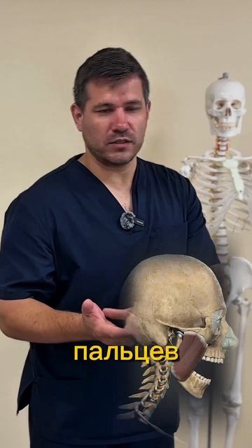 Жевательная мышца скрытая причина боли в лице и голове