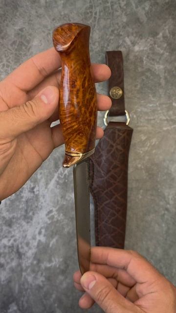 Rex Red amboyna Elefant