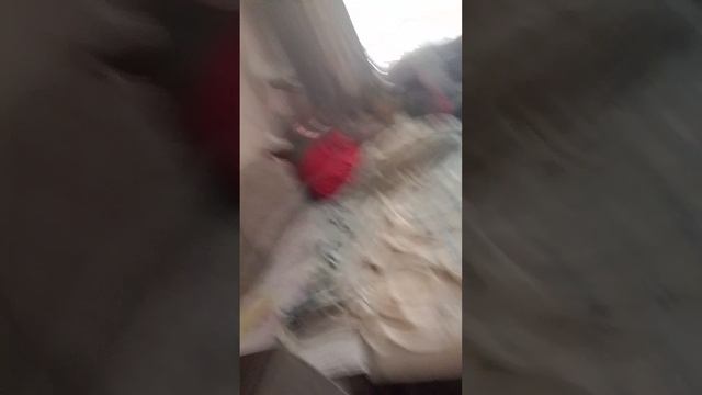 доброе утро