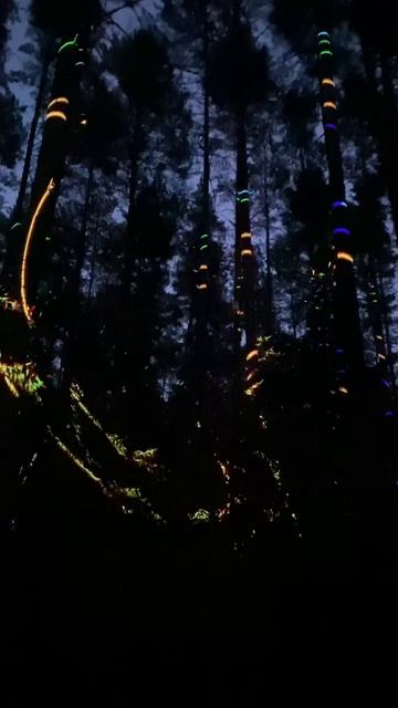 1-3.08.2025 парадигма (сергиев посад) paradigma russian hitech festival