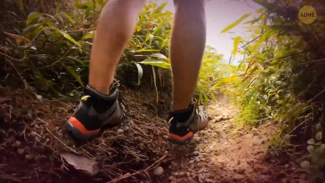 Береговая линия Европы в опасности - ученые предупреждают, что скоро надвигается массивное цунами