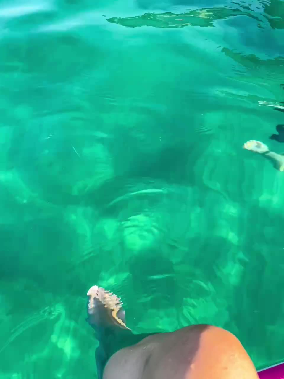 Доброе утро всем, хорошего дня и прекрасного нкастроения☀️