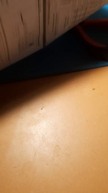 Тестер Bo Ai Zhi E-Bike Tester 24V 36V 48V 60V 72V